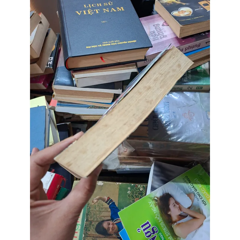 Bát phố của bảo sinh 936594