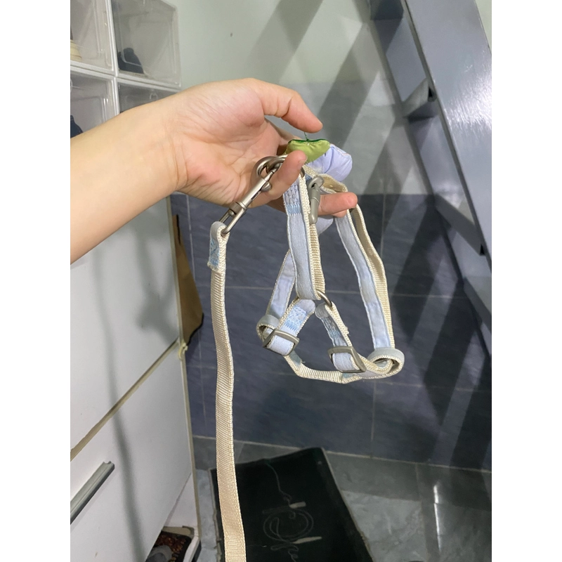 Dây đai người cho thú cưng 5-9kg 547434