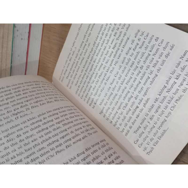 Nam Cao: Một đời người, một đời văn - GS. Nguyễn Văn Hạnh 735376