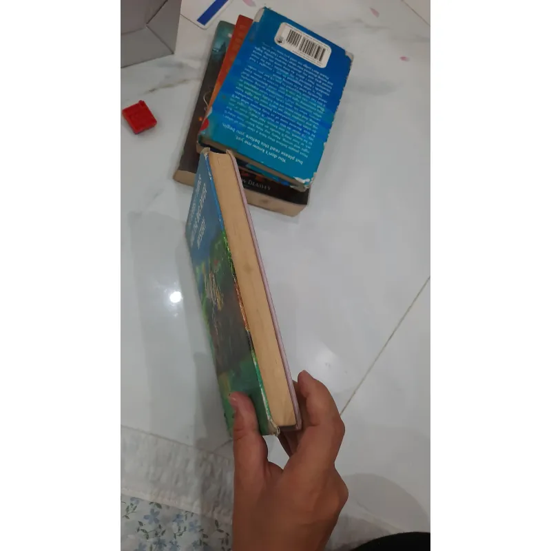 The bobbsey twins and the big rivers mystery 930936