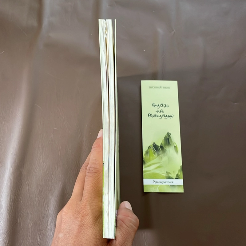 II Tựa sách: Rong Chơi Trời Phương Ngoại - Thích Nhất Hạnh - 2020 523400