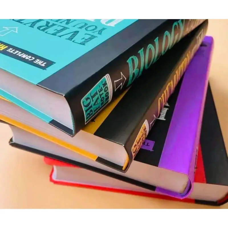 Bộ sách BIG FAT NOTEBOOK (4 cuốn mới) 565159