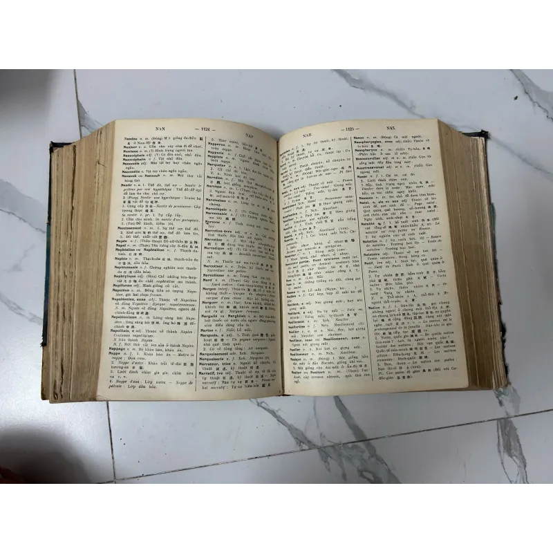 Pháp-Việt Từ-Điển (Dictionnaire Français-Annamite) - Đào Duy Anh 991634