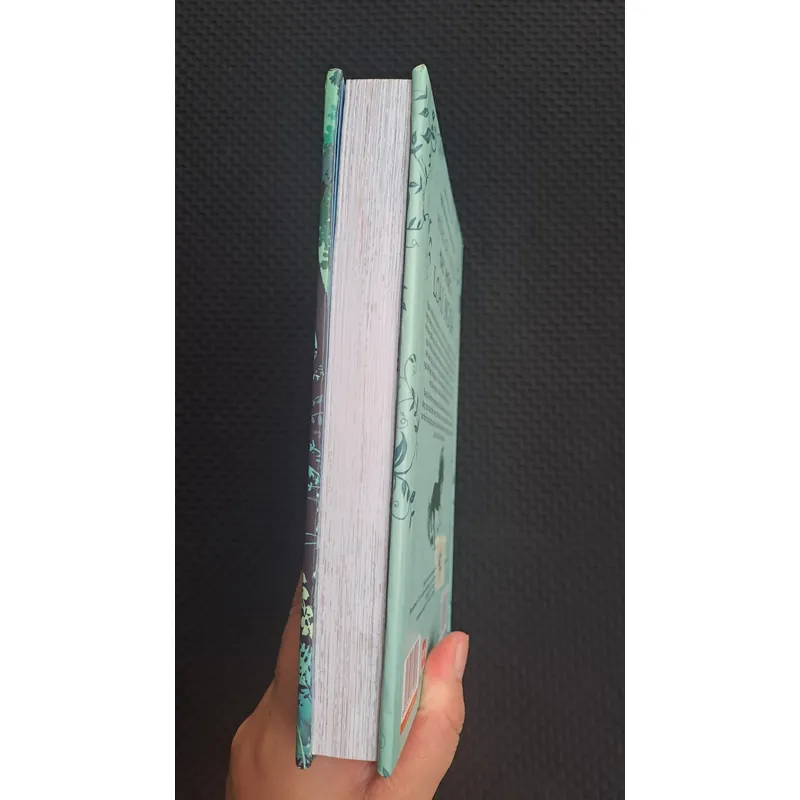 Những câu chuyện hay nhất về loài ngựa ( dành cho trẻ từ 6 - 16 tuổi) 605202