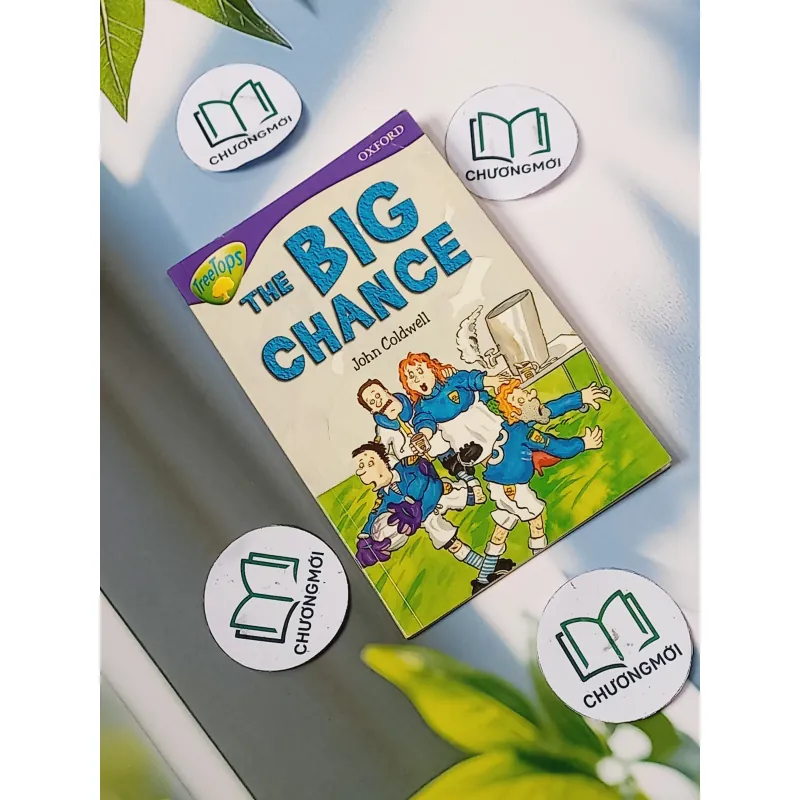 Oxford Reading Tree - Stage 11: TreeTops More Stories A: The Big Chance - John Coldwell 703070