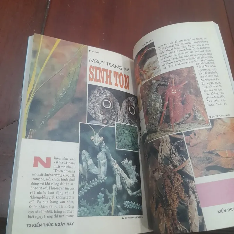 KIẾN THỨC NGÀY NAY số 121 ngày 15-10-1993 674195