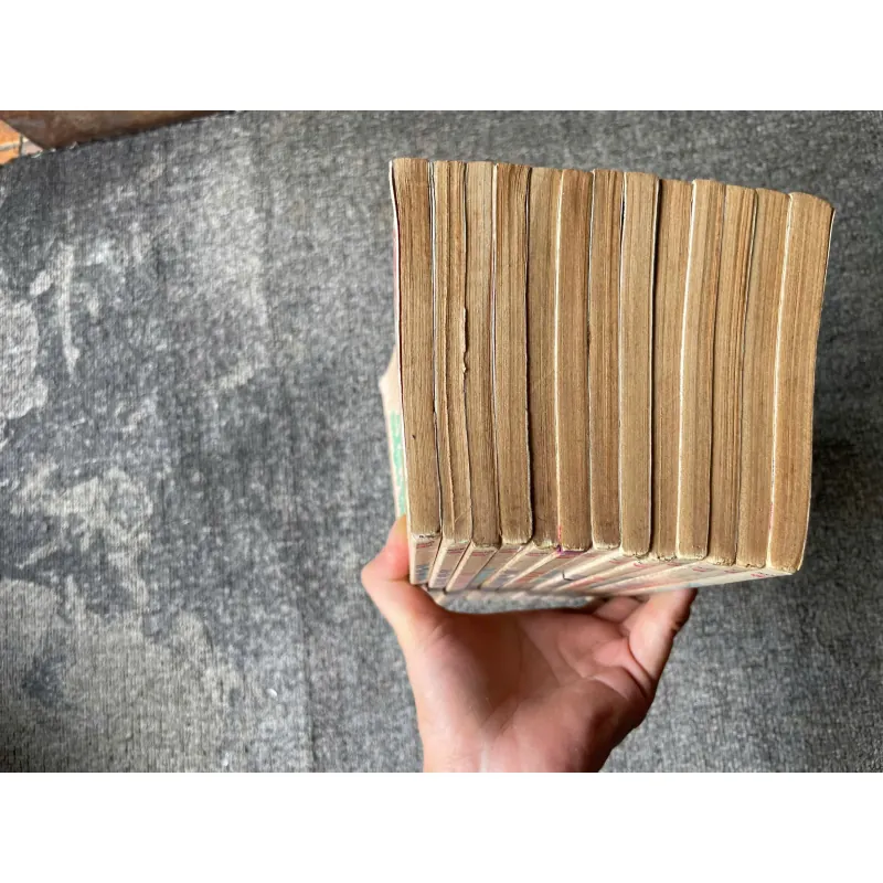 Truyện Hoa Hồng Vecxay - Trọn Bộ 13 Tập - NXB Kim Đồng 276710