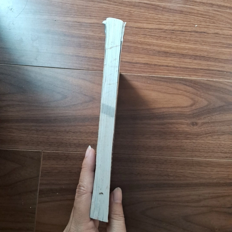 Nghiệt ngã và thành công 531650
