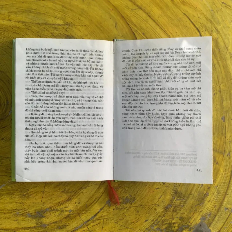 ĐỒI GIÓ HÚ - EMILY BRONTI 1003078