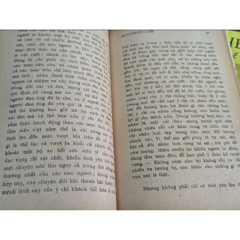 Siêu hình tình yêu, siêu hình sự chết - Schopenhauer 128546