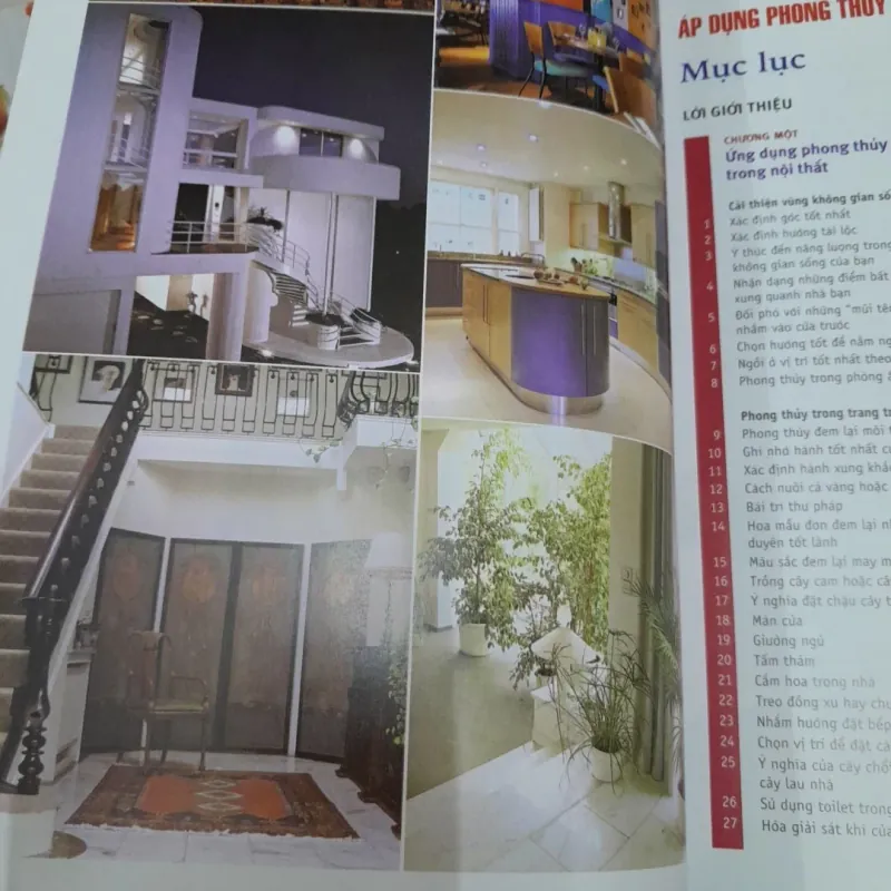 Phong Thủy để Thành công trong công việc và kinh doanh. Tg Lillian Too 577381