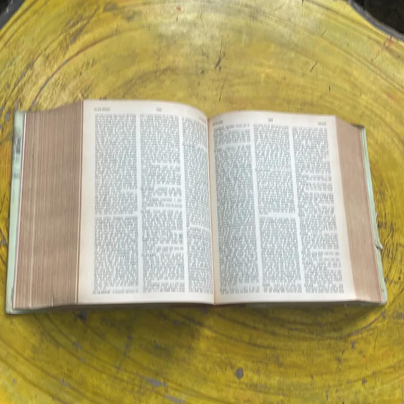 ĐẠI TỪ ĐIỂN ANH - VIỆT ENGLISH- VIETNAMESE DICTIONARY  702741