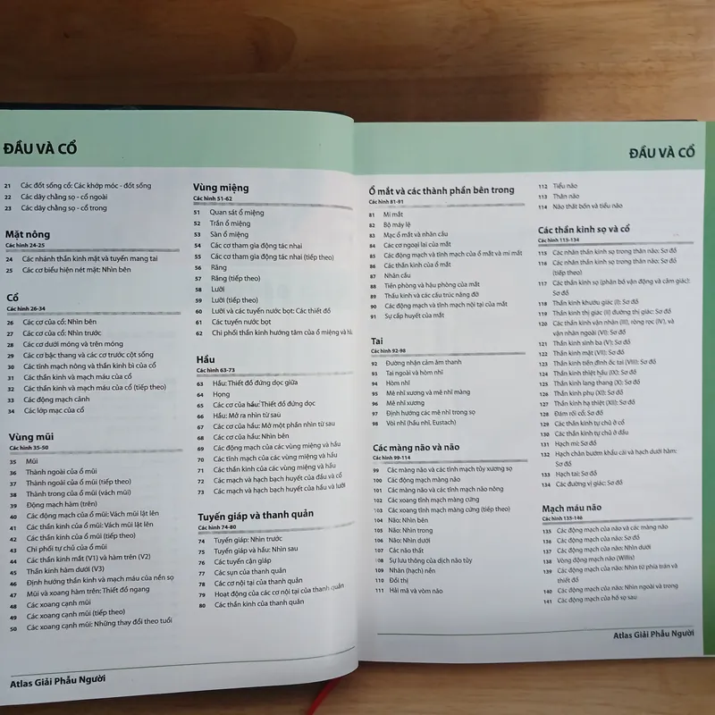 Atlas Giải Phẫu Người (Ấn Bản Lần Thứ 5) - Frank H. Netter, MD 570689