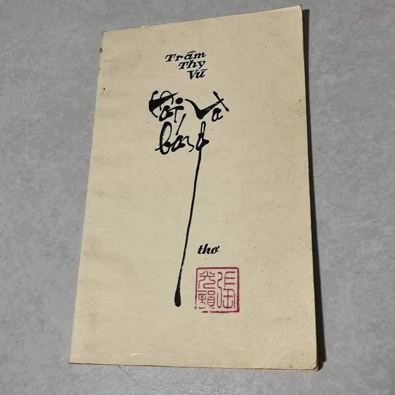 Tôi và bóng - Trần Thy Vũ  568680