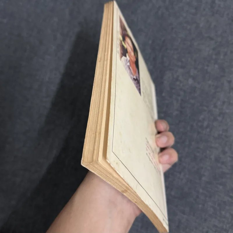 Những linh hồn lạc - Phan Triều Hải 798053