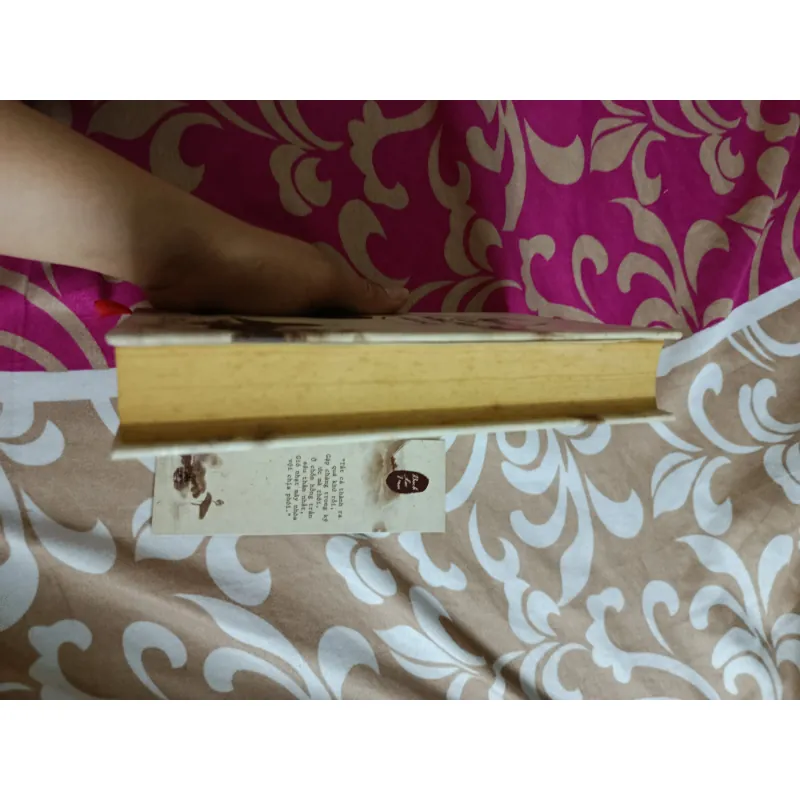 Gặp lại chốn hồng trần sâu nhất - Bạch Lạc Mai ( bìa cứng ) 991216