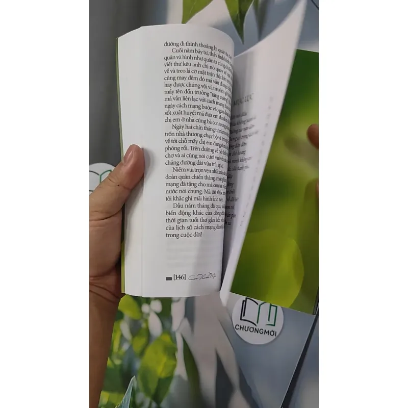 Trầu Không Xanh Lá - Cao Thanh Mai 798319