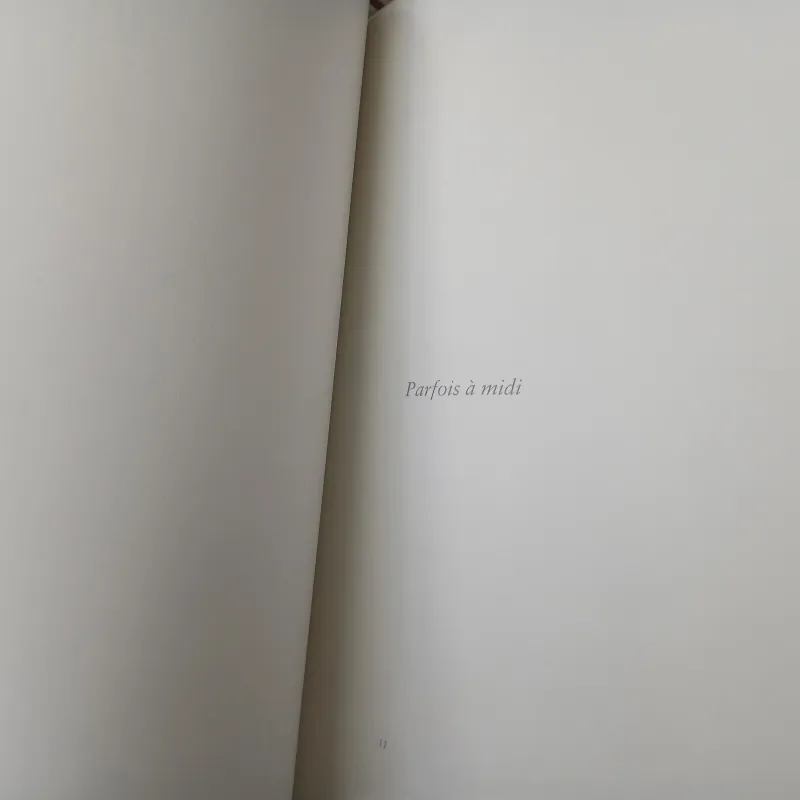 QUAND LES PIERRES FONT SIGNE (KHI ĐÁ BÁO HIỆU) -  FRANÇOIS CHENG, FABIENNE VERDIER 752672