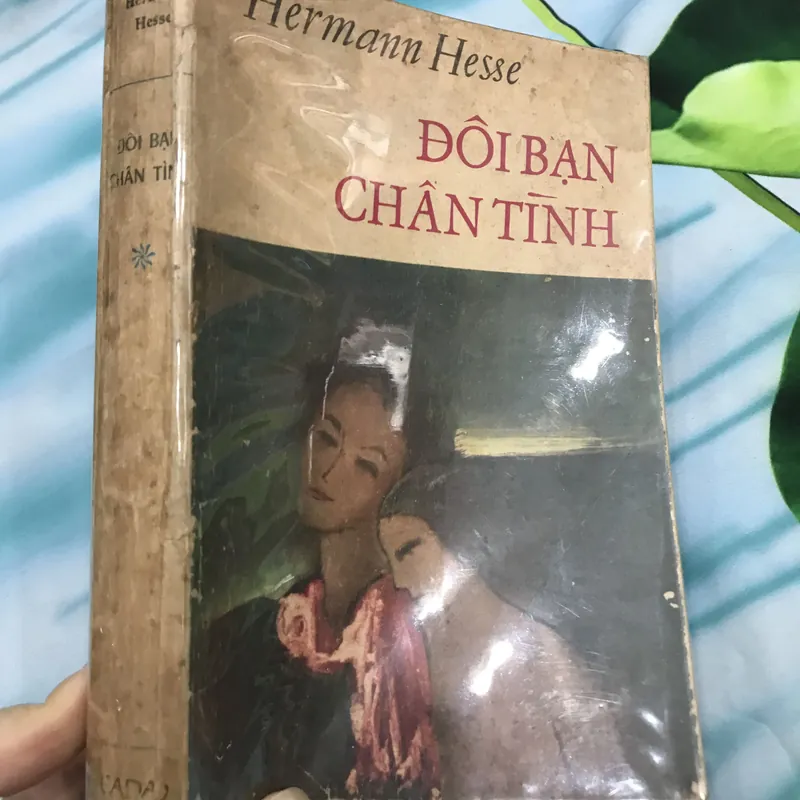 Đôi bạn chân tình - Hermann Hesse 591270