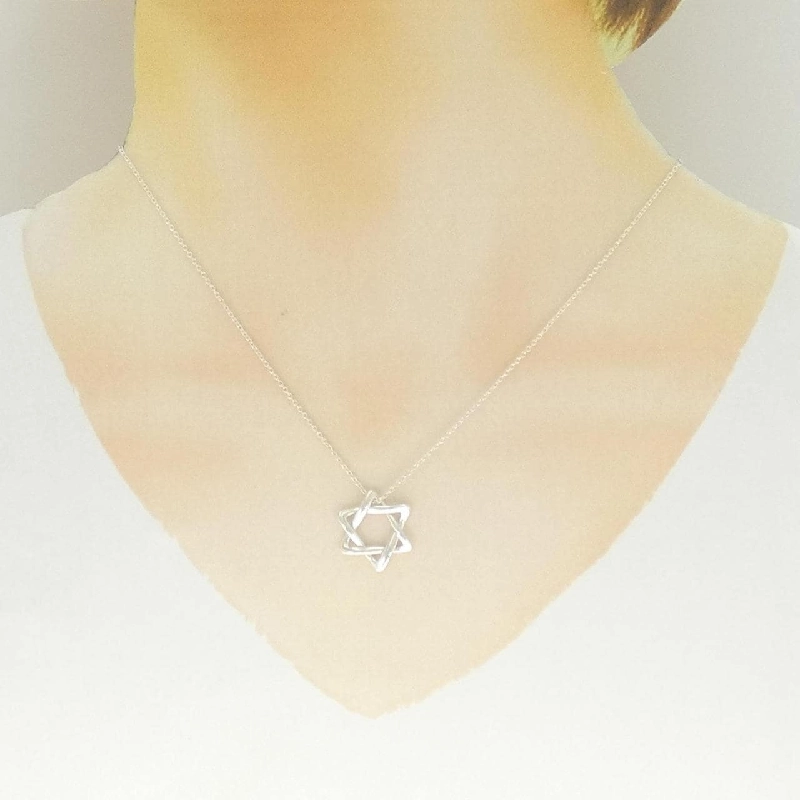 Tiffany Davide Necklace - Hàng hiệu Authentic 841057