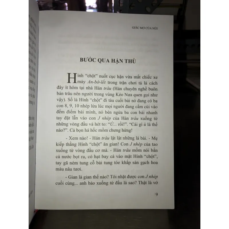 Giấc mơ của núi - Đoàn Ngọc Minh 779022