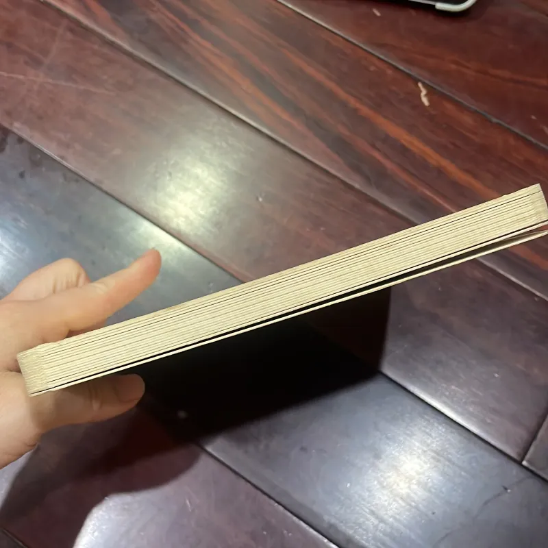 Ngoại văn tiếng anh trẻ em : THE BABY’s Catalogue  1028105