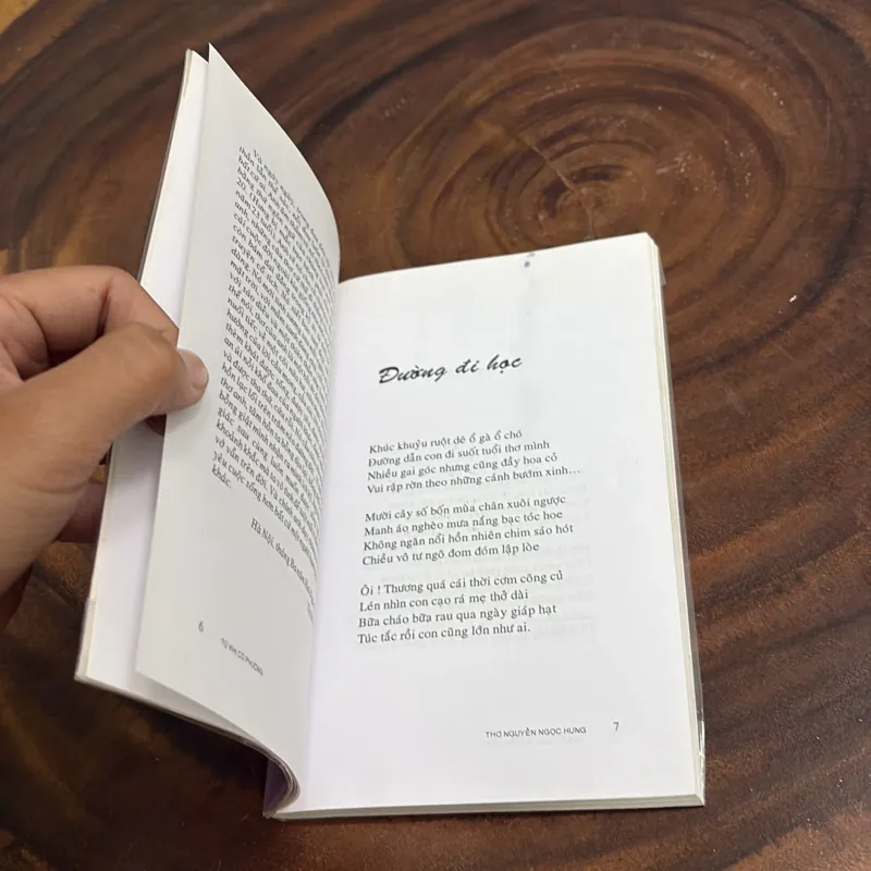 II Văn Học: Từ Khi Có Phượng - Nguyễn Ngọc Hưng - 2005 1001903