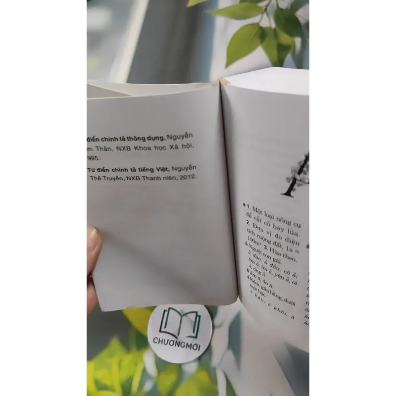 Từ Điển Chính Tả Tiếng Việt 727289