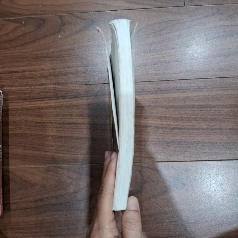 100 bí mật kinh đô huế 516443