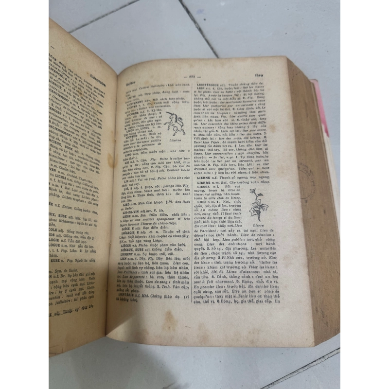 Pháp việt tân từ điển minh hoạ 539187