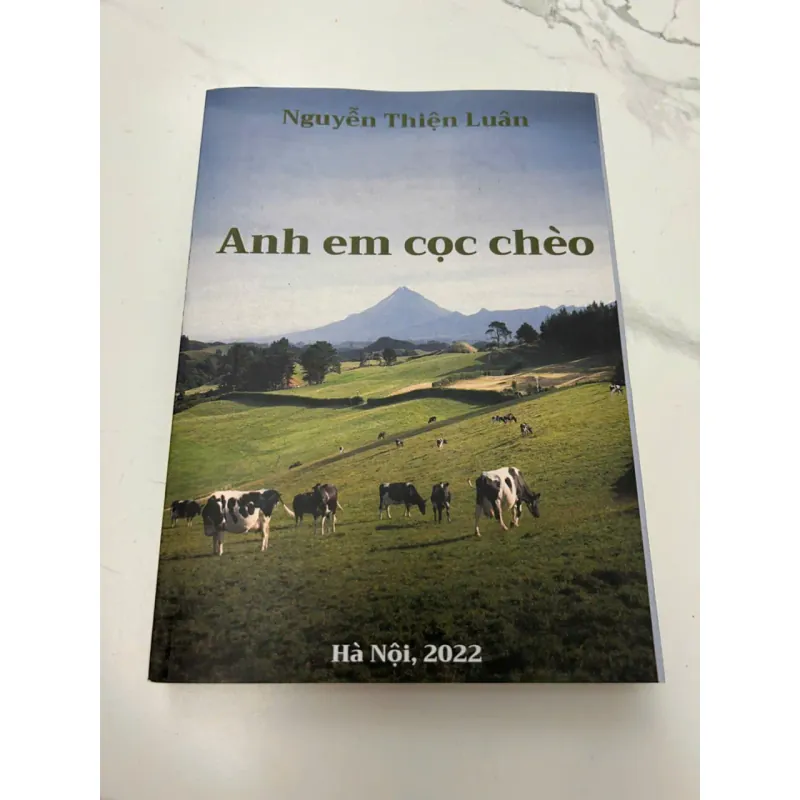 Anh Em Cọc Chèo - Nguyễn Thiện Luân - Văn học (Tiểu thuyết) 608053