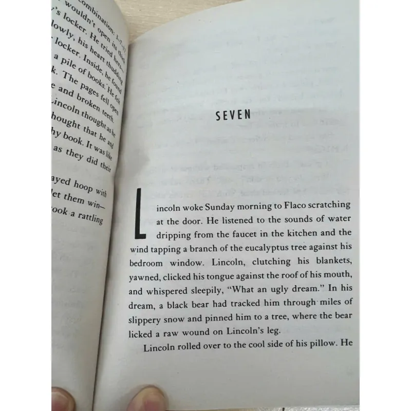 Taking sides - Gary soto 753374