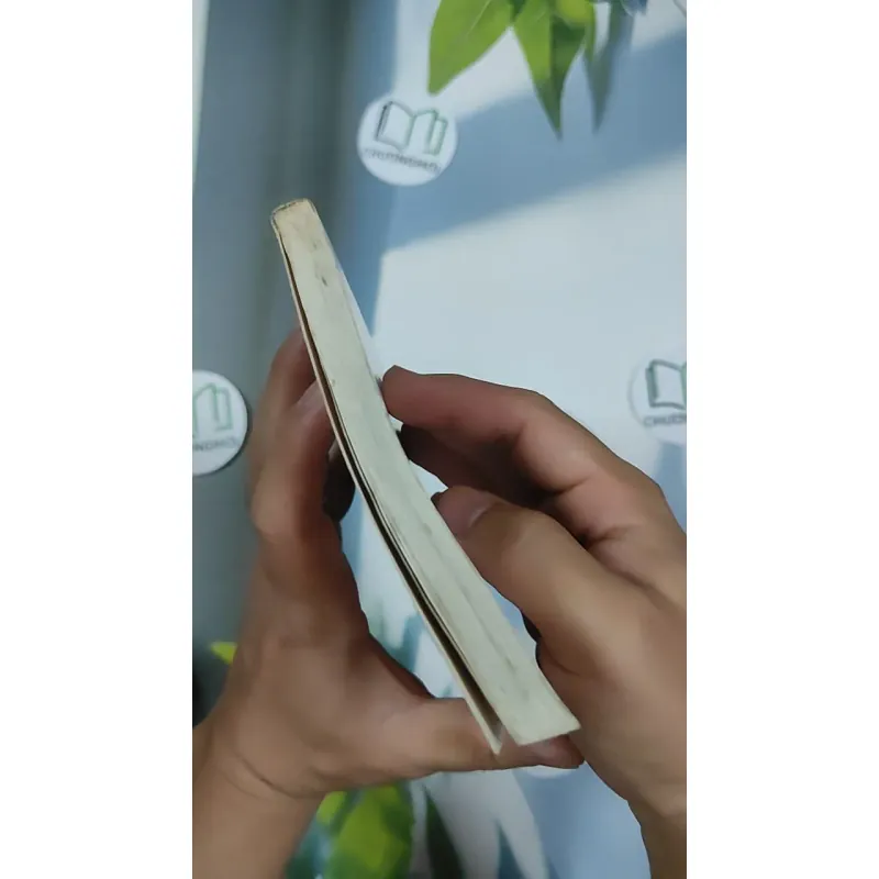 Hạt Chò Chỉ - Lê Minh 798479