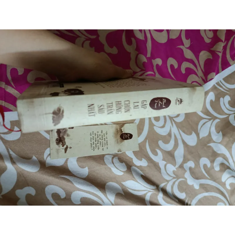 Gặp lại chốn hồng trần sâu nhất - Bạch Lạc Mai ( bìa cứng ) 991216