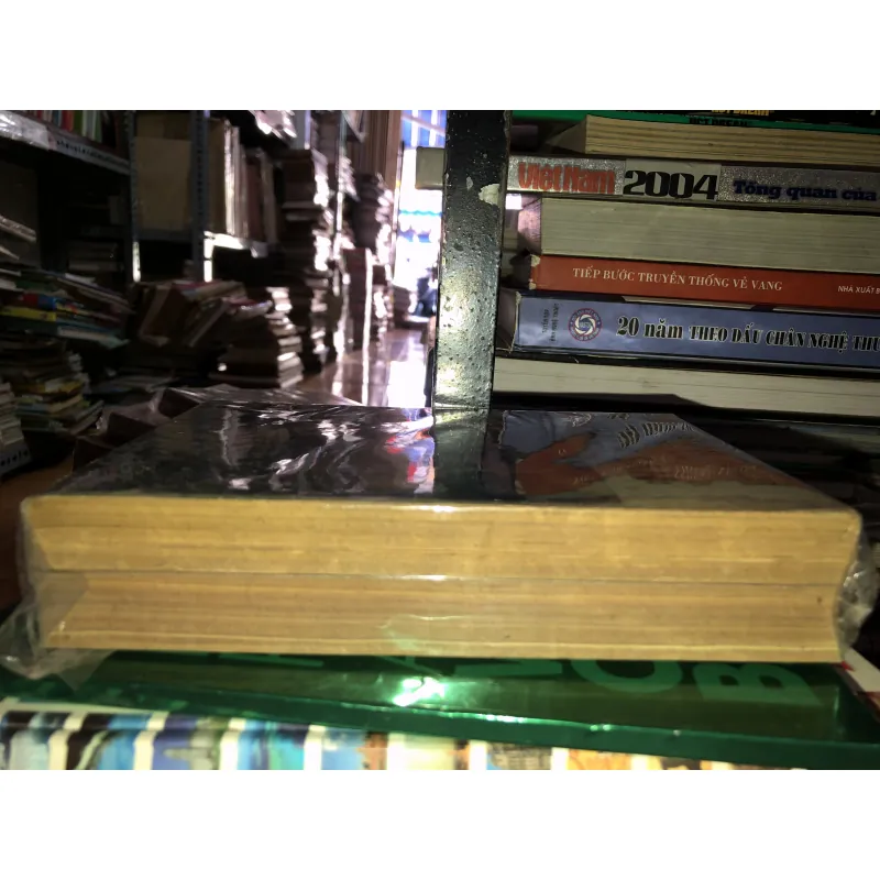 Trong khách sạn - Arthur Hailey 786636