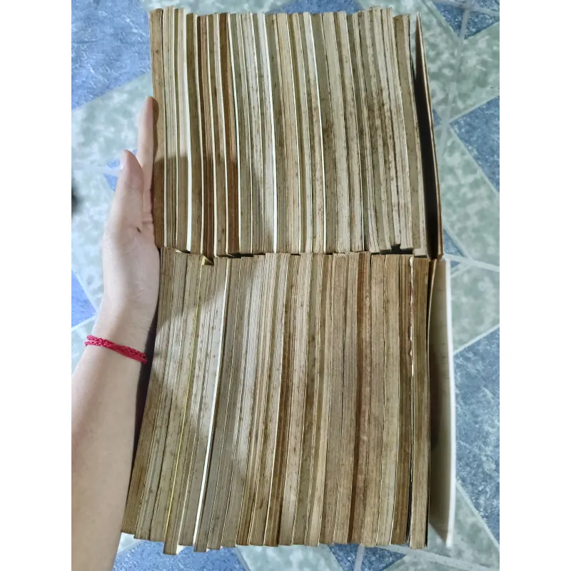 Con nhà giàu 43 tập ( 2003) - Yoko Kamio 789398