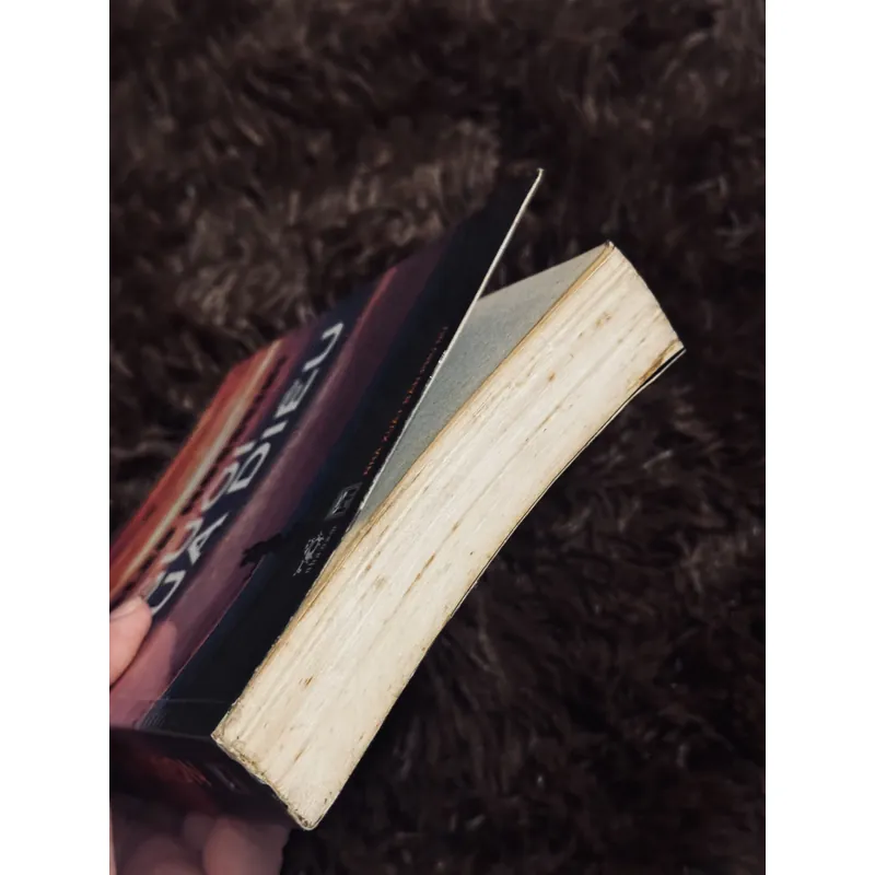 Người đua diều (bản in đầu) 714607