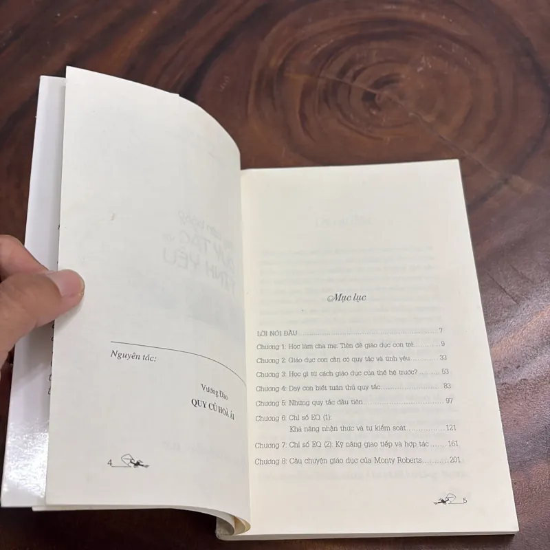 II Dạy Con: Dạy Con Bằng Quy Tắc Và Tình Yêu - Vương Đào - 2016 990716