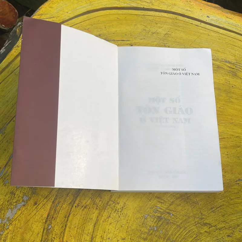 COMBO MỘT SỐ TÔN GIÁO Ở VIỆT NAM & HỆ THỐNG TỔ CHỨC GIÁO HỘI CỦA CÁC TÔN GIÁO Ở VIỆT NAM 777918
