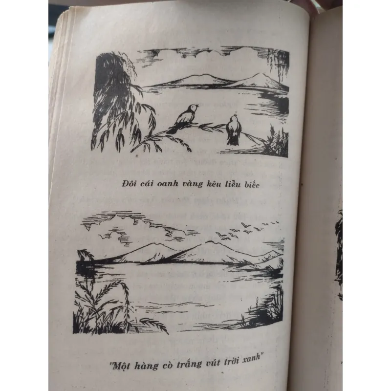 sách: Phê bình bình luận văn học Lý Bạch, Đỗ Phủ, Bạch Cư Dị, Thôi Hiệu.
 994596