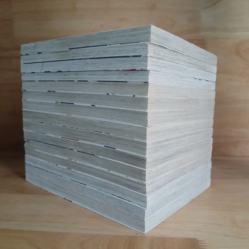 Truyện Tranh Chiến Quốc (Sengoku Strays) - Shingo Nanami 675201