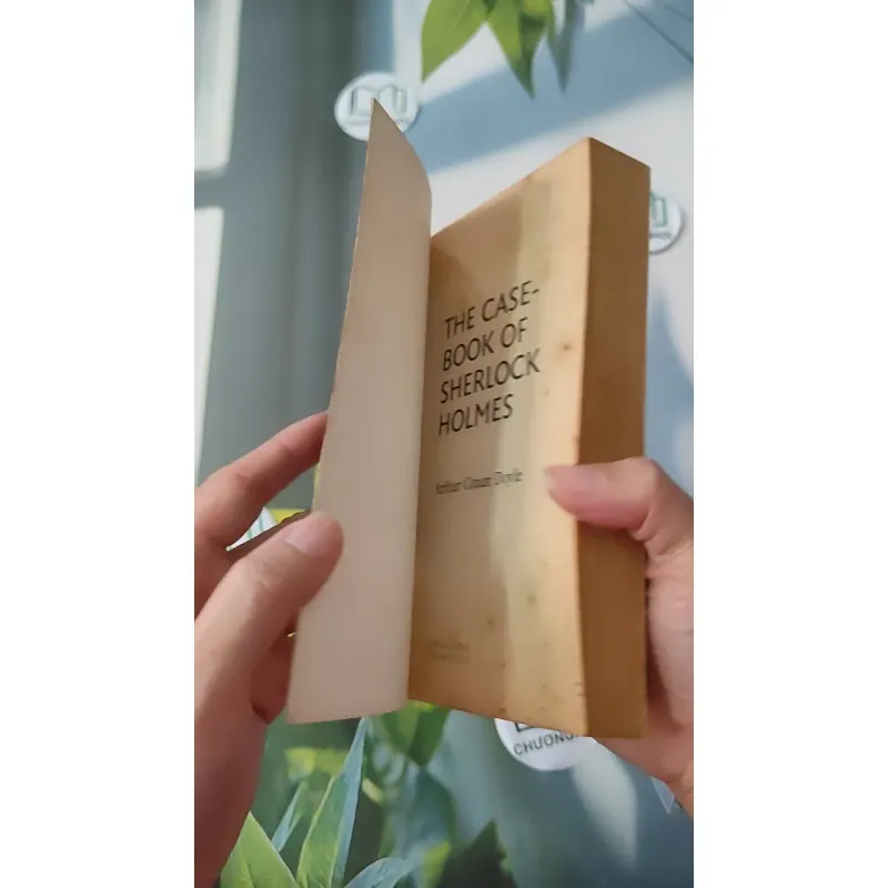 The Case-Book of Sherlock Holmes - Arthur Conan Doyle 1027186