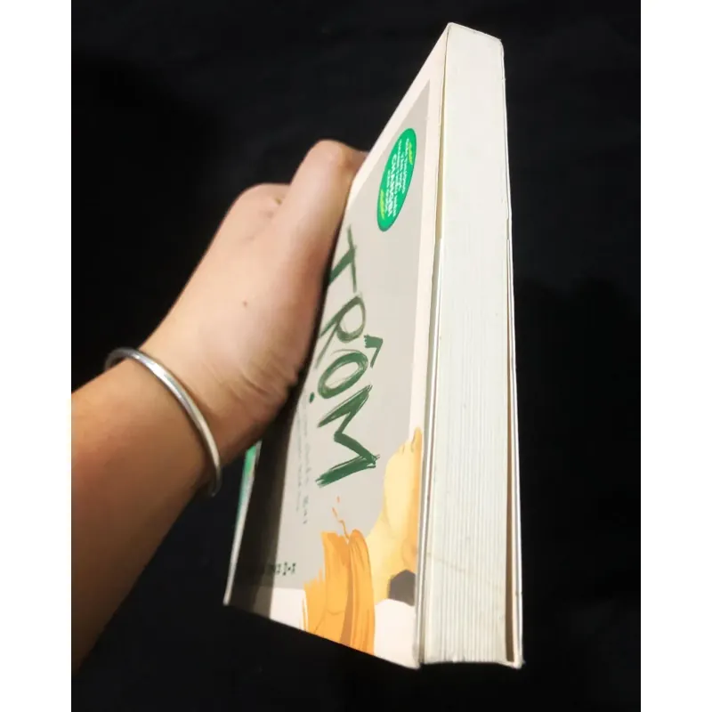 Trộm hay lời thú chạy của chiếc gai - Kim Ryeo Ryeong 785926