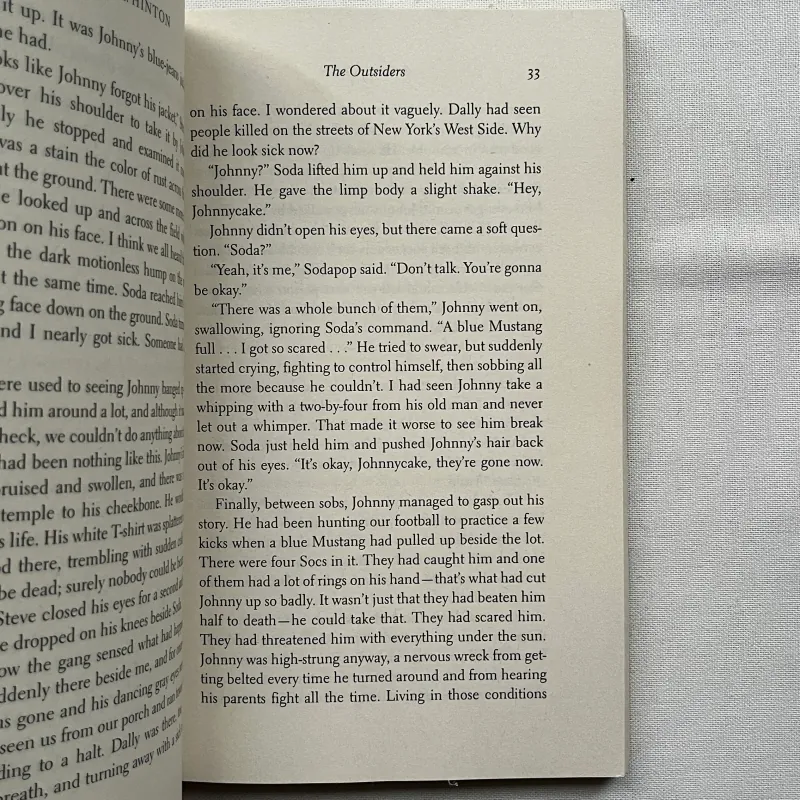 The Outsiders - S.E. Hinton 784950