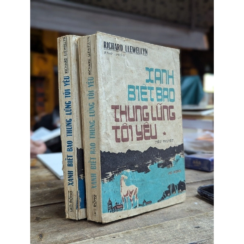 Xanh biết bao thung lũng tôi yêu - Richard Llewellyn ( 2 tập ) 202375