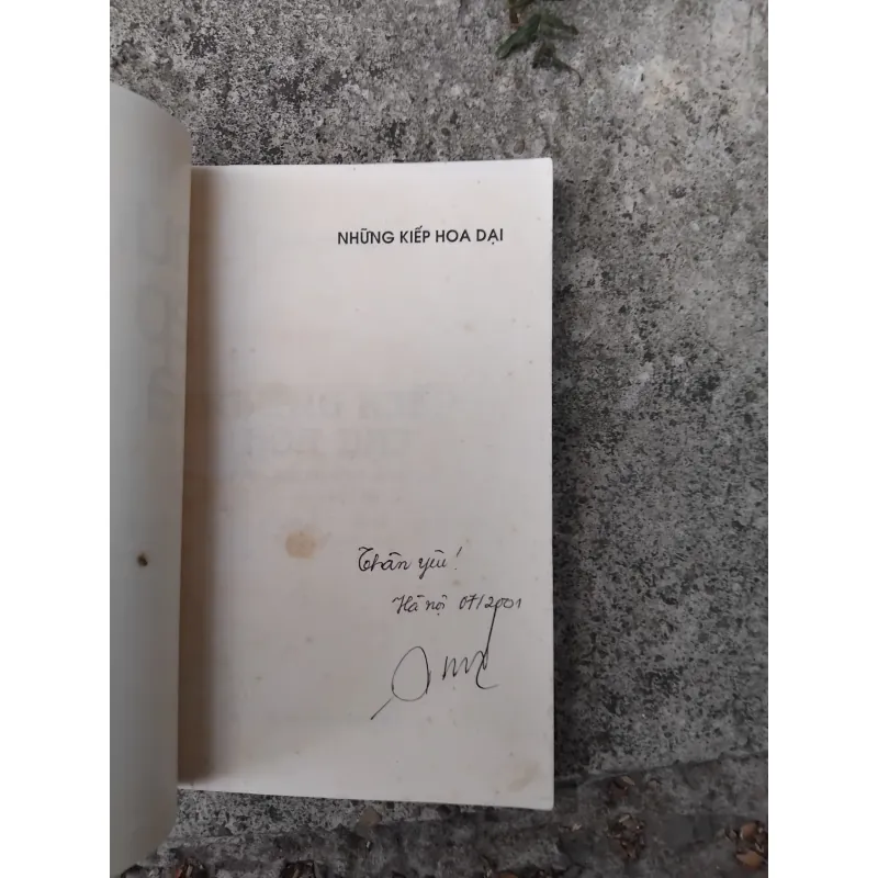 Những kiếp hoa dại của Vương Trí Nhàn  1026224