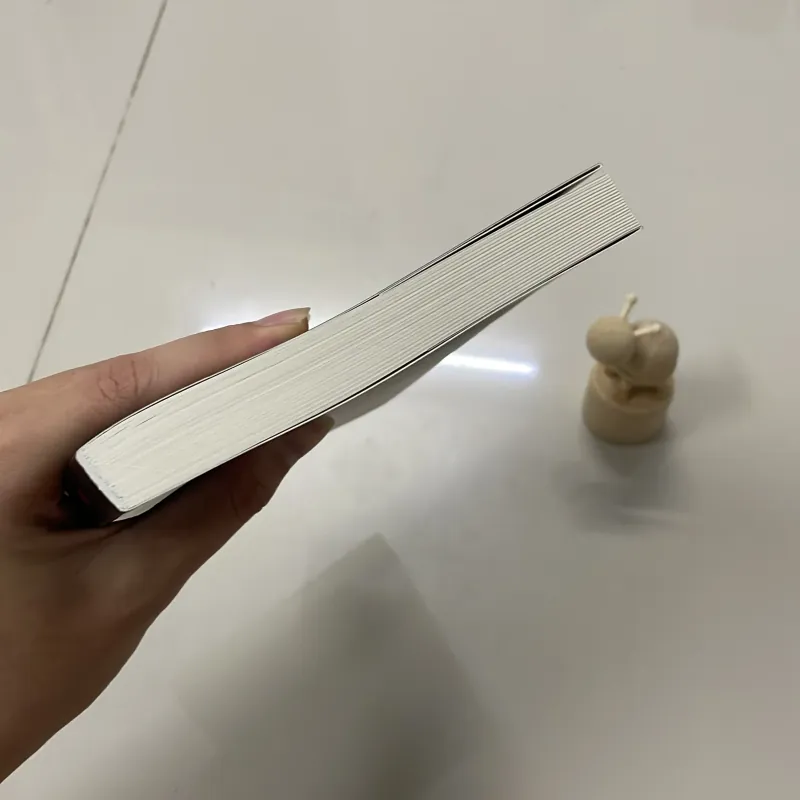 [SÁCH] VỤ ÁN SÁT NHÂN KHÔNG LIÊN HOÀN (MỚI 99%) - SAKAGUCHI ANGO 792352