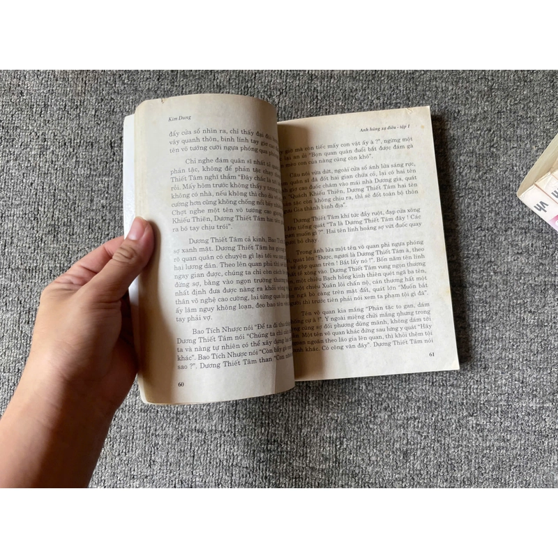 Truyện Chữ - Anh Hùng Xạ Điêu - Trọn bộ 8 tập 549611