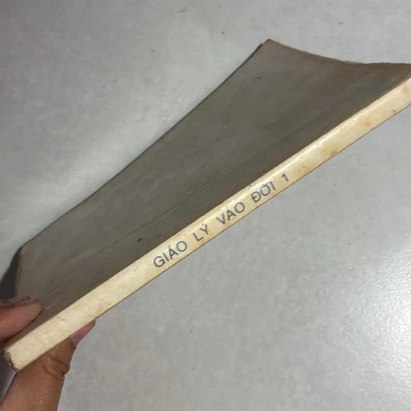 Giáo lý vào đời 1 784776