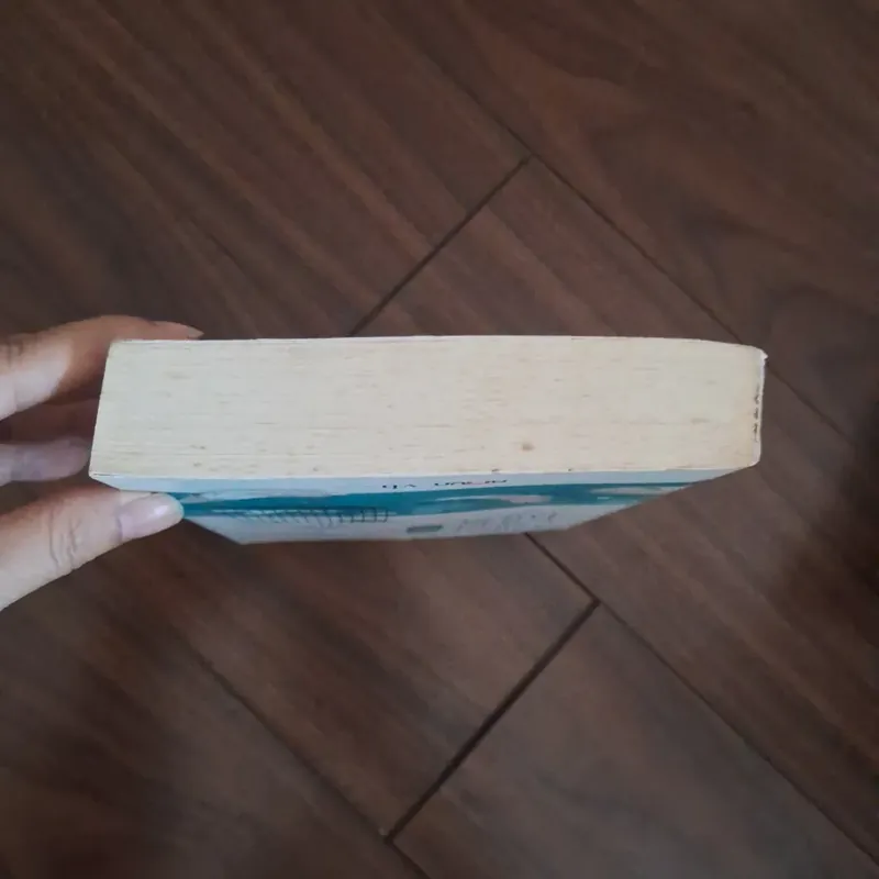 Thiên sơn mộ tuyết - phỉ ngã tư tồn 706329